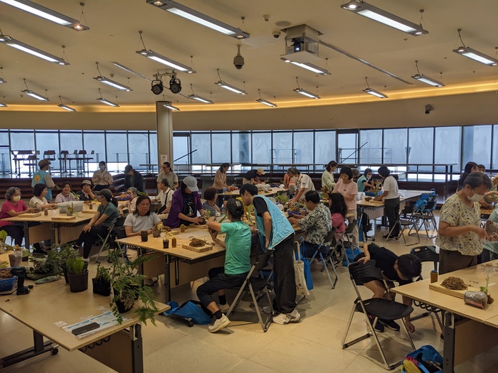 20250806鹿角蕨板植分享活動圖片