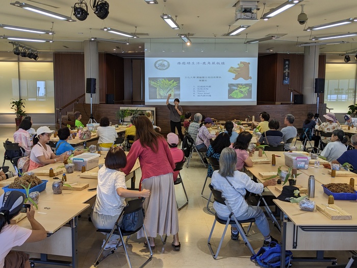 20250806鹿角蕨板植分享活動圖片