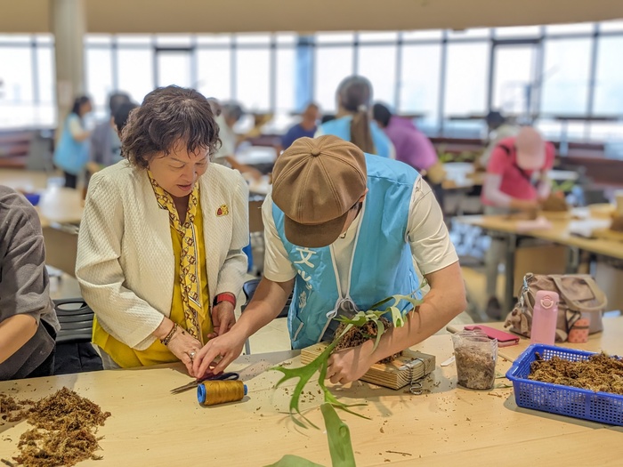 20250806鹿角蕨板植分享活動圖片
