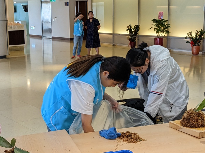 20250806鹿角蕨板植分享活動圖片