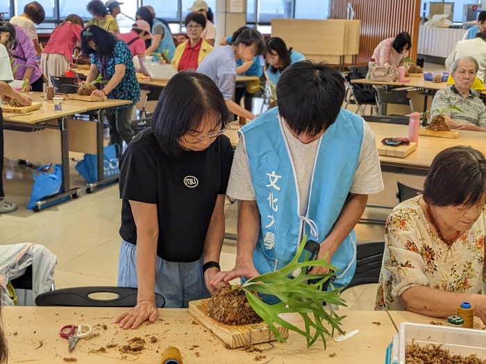 20250806鹿角蕨板植分享活動圖片