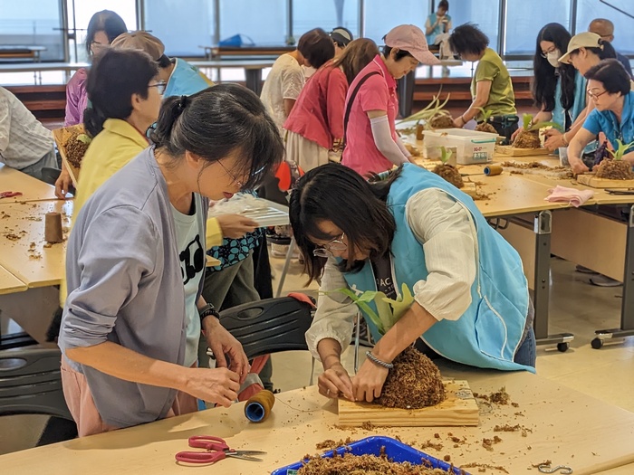 20250806鹿角蕨板植分享活動圖片