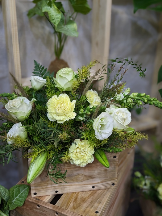 花卉推介會展現「從學習到產業」的完整路徑 文化大學園藝暨生物技術學系以四大展區呈現學研實力與共創精神圖片