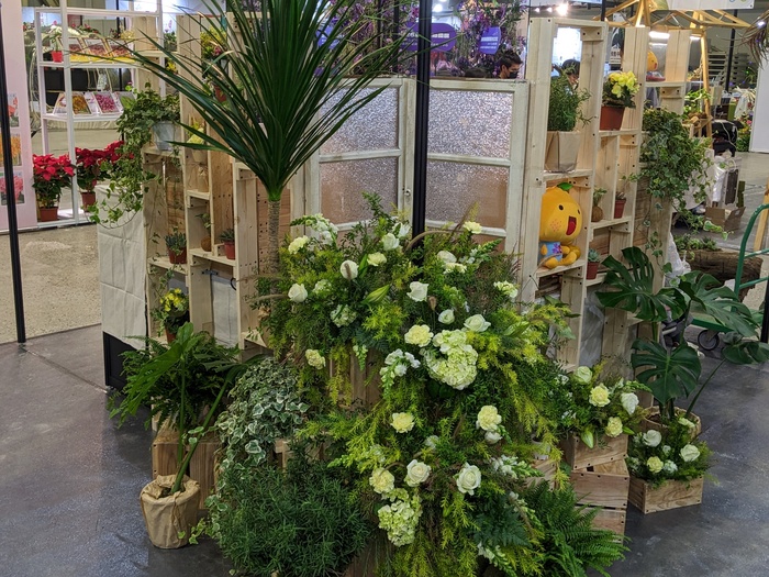 花卉推介會展現「從學習到產業」的完整路徑 文化大學園藝暨生物技術學系以四大展區呈現學研實力與共創精神圖片