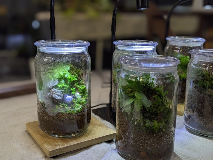 花卉推介會展現「從學習到產業」的完整路徑 文化大學園藝暨生物技術學系以四大展區呈現學研實力與共創精神圖片