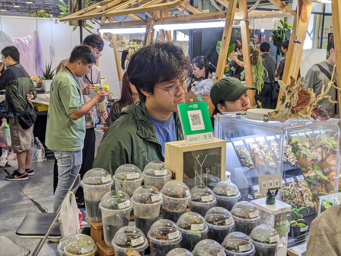 花卉推介會展現「從學習到產業」的完整路徑 文化大學園藝暨生物技術學系以四大展區呈現學研實力與共創精神圖片