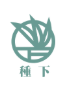 柯仲謙系友-種下(2026/03/04)圖片