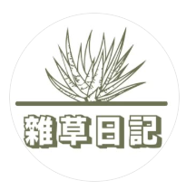 蕭爾東系友-雜草日記(2026/03/04)圖片