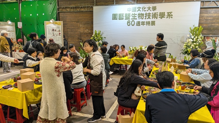 DIY-森戀微光-綠植生態瓶圖片